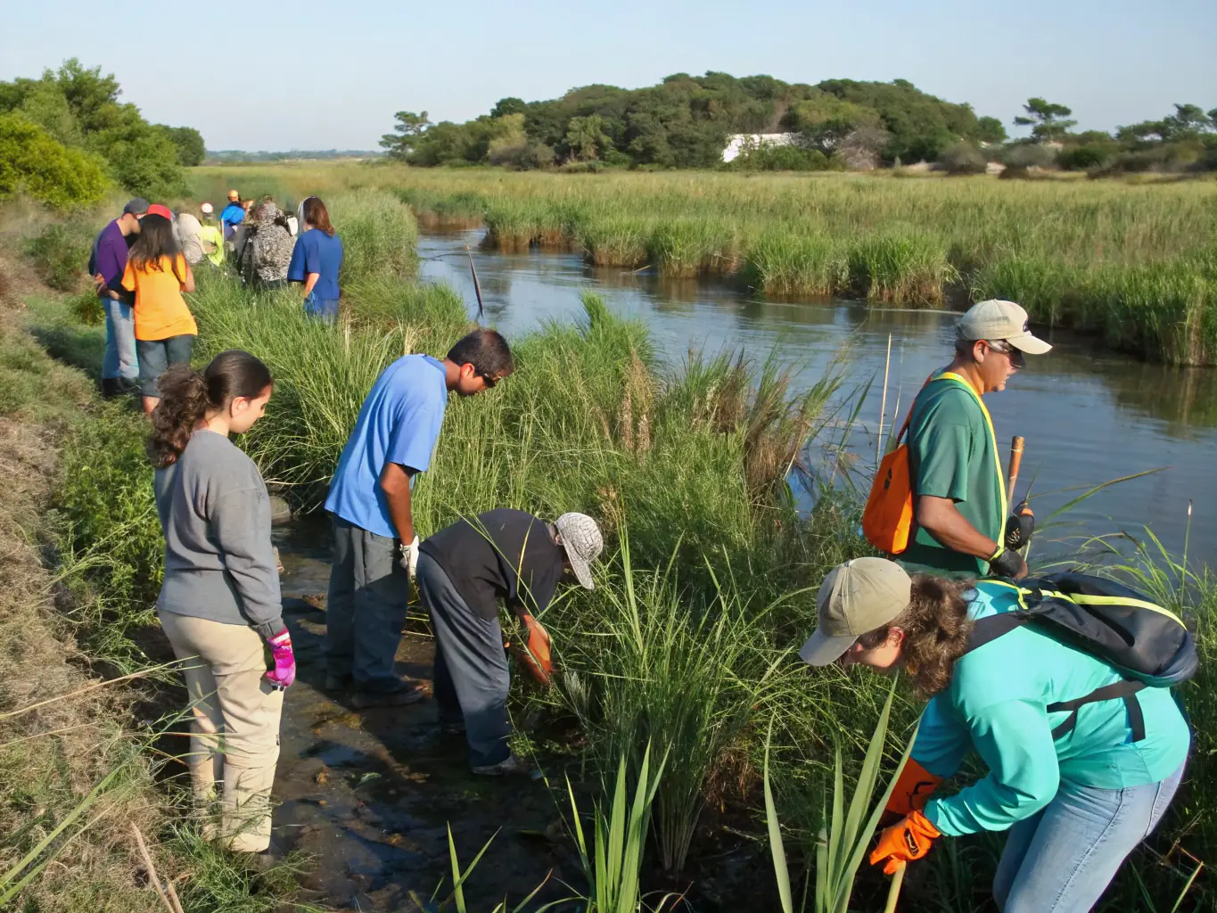 A vibrant image of volunteers planting native vegetation along a riverbank, illustrating the organization's efforts to restore and enhance aquatic habitats.